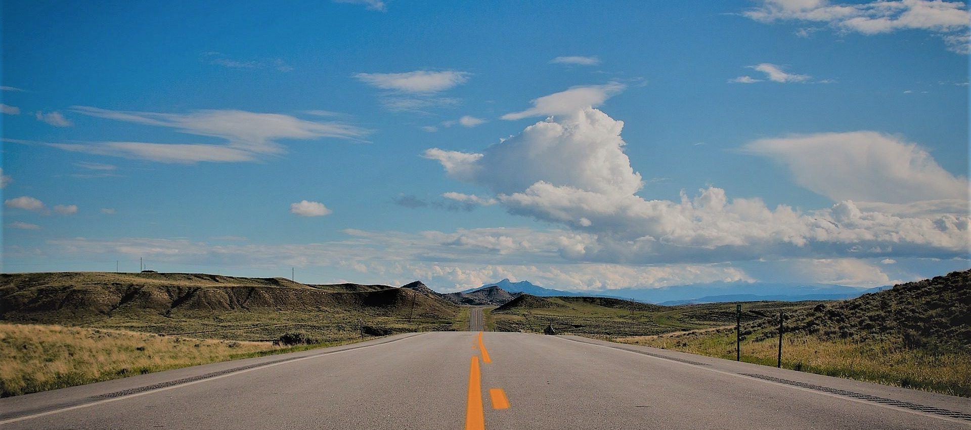 CORRECTOR PROFESIONAL